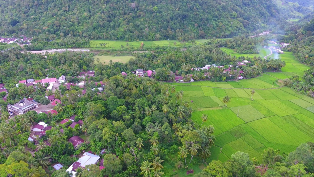Kawasan Pertanian Persawahan Masyarakat Gampong Trieng Meuduro Tunong